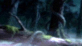 Sperm Hunting Adventure in the Wild Jungle (Hentai Anime)
