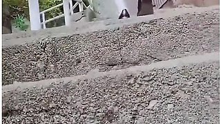 [intro] Personal Shooting Of Uniformed Girls Who Had Come For Seaside Learning