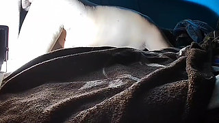 PUCHIS - SEXY MILF JUGOSO RUIDOSO SQUIRTING