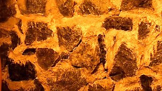 Kiss my shoes and take good care of my feet