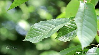 Spicy vixens lesbian xxx video