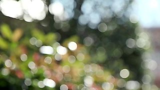 Korean wife on couch Amateur Asian Japanese Korean Webcams